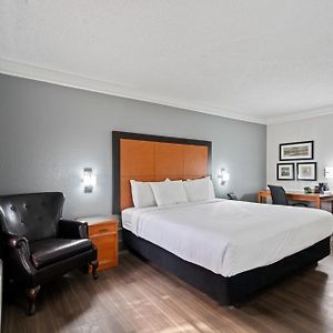 Deluxe King Suite